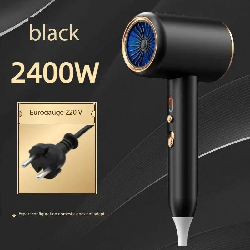 High-Performance 2400W Hair Dryer | Ion Technology, Hot & Cold Air Function for Fast, Frizz-Free Styling at Home