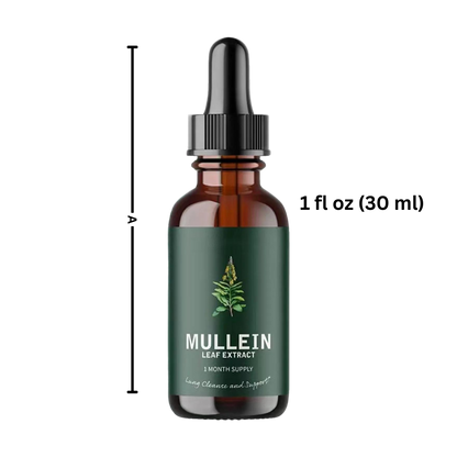 Mullein Leaf Extract – Natural Lung Health Support, Herbal Supplement for Respiratory Wellness