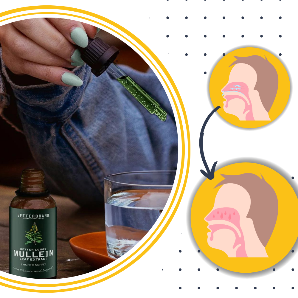 Mullein Leaf Extract – Natural Lung Health Support, Herbal Supplement for Respiratory Wellness