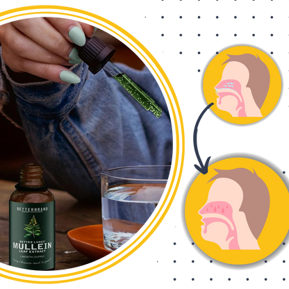 Mullein Leaf Extract – Natural Lung Health Support, Herbal Supplement for Respiratory Wellness
