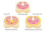 Body Firming and Shaping Cream for Skin Tightening and Cellulite Reduction - Anti-Aging Treatment for All Skin Types