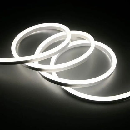 neon led 220v x 10 mts